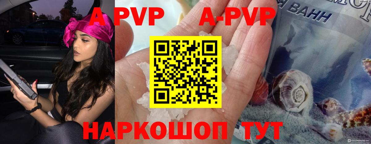 A-PVP СК КРИС Балтийск