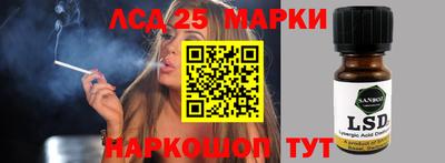 мяу мяу мука Кандалакша