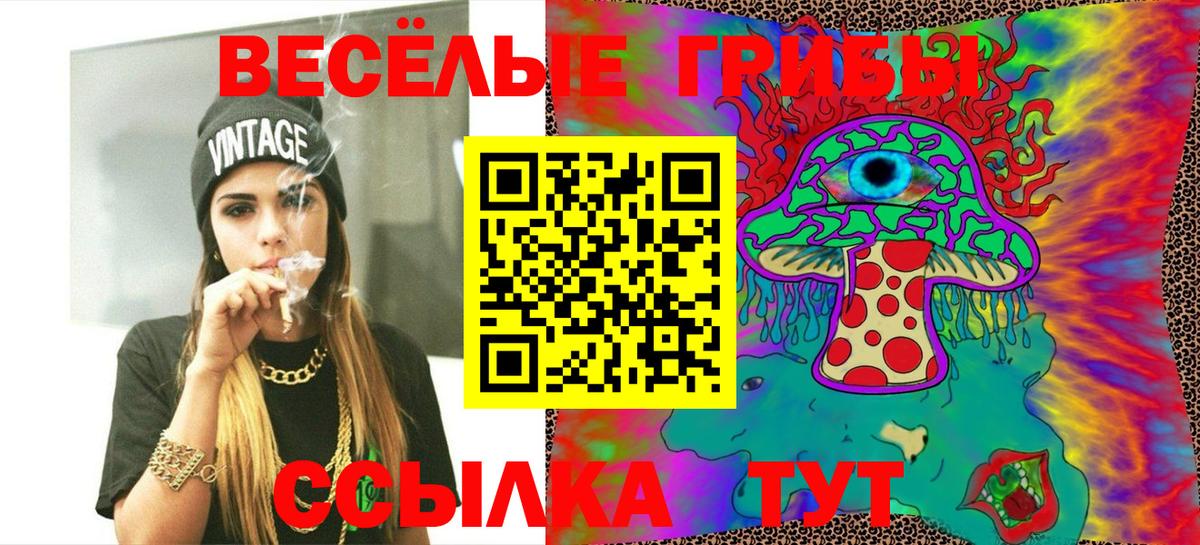 Балтийск  Псилоцибиновые грибы прущие грибы  Вход с VPN  Псилоцибиновые грибы Psilocybine cubensis 