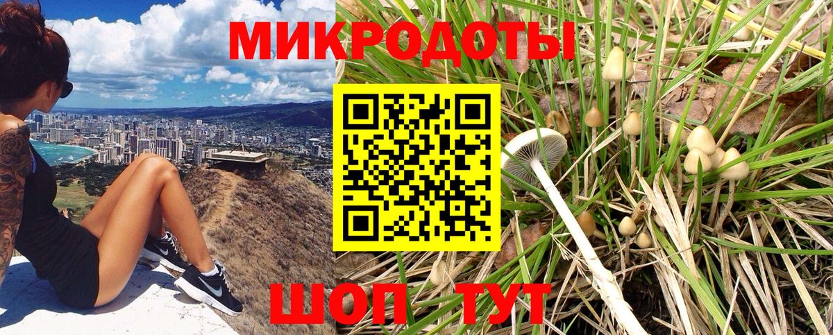 Псилоцибиновые грибы MAGIC MUSHROOMS Балтийск